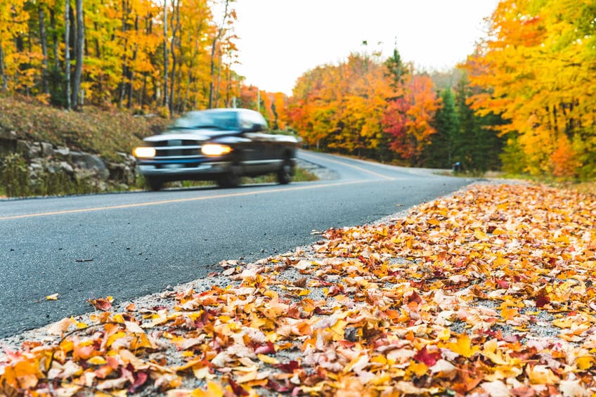 Fall Driving Tips | New Image Towing